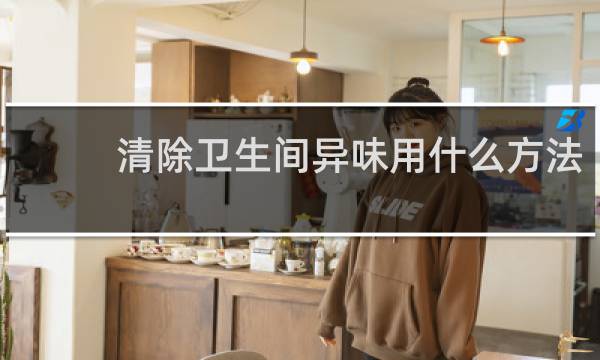 清除卫生间异味用什么方法? - 卫生间臭气最有效的解决办法