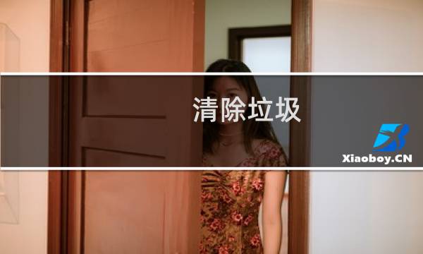 清除垃圾 - 清除垃圾全部清除