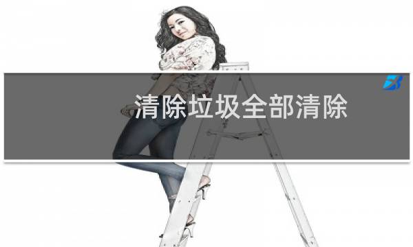 清除垃圾全部清除 - 把这个给清除垃圾
