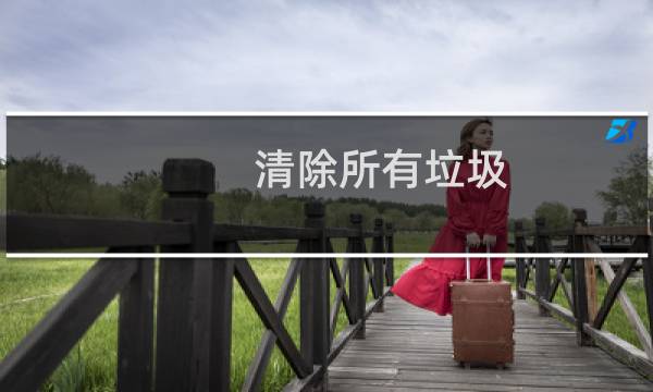 清除所有垃圾 - 所有垃圾全部清除