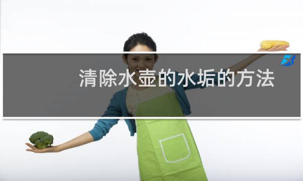 清除水壶的水垢的方法 - 烧水壶怎样去水垢最简单方法