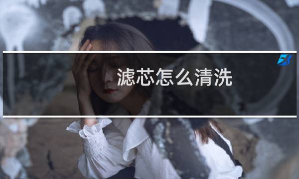 滤芯怎么清洗 - 滤芯黄了怎么清洗