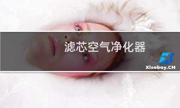 滤芯空气净化器 - 千万不要自己换空气滤芯