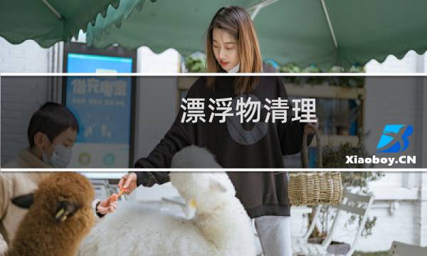 漂浮物清理 - 漂浮物清理方案