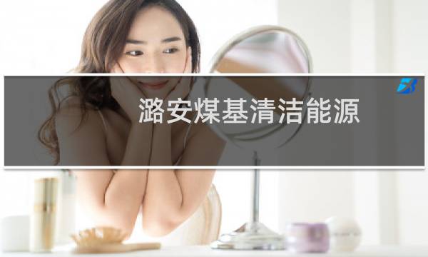 潞安煤基清洁能源 - 潞安张卫国简介