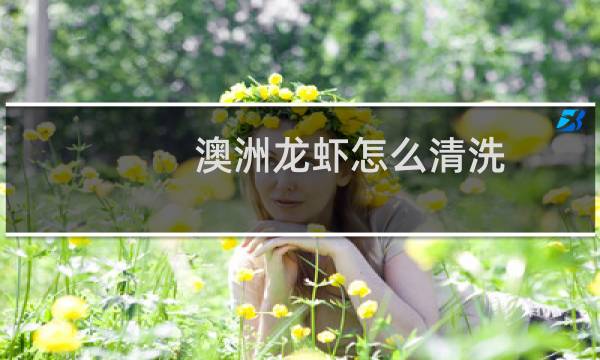 澳洲龙虾怎么清洗 - 澳洲龙虾怎么处理头部