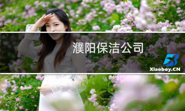 濮阳保洁公司 - 濮阳有哪些保洁公司