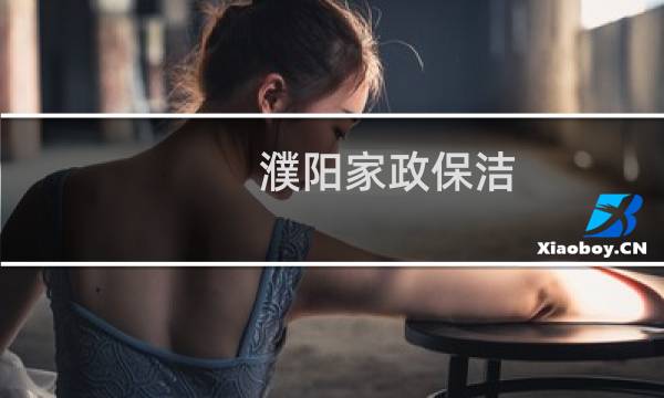濮阳家政保洁 - 濮阳家政保洁振华