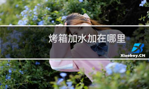 烤箱加水加在哪里 - 烤箱底部需要加水吗