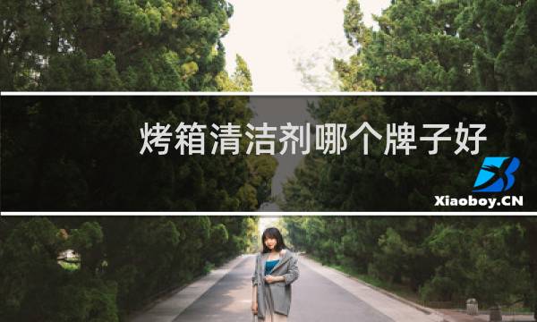 烤箱清洁剂哪个牌子好 - 烤箱清洁剂
