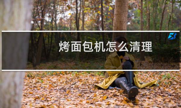 烤面包机怎么清理 - 烤面包机凹槽怎么清理