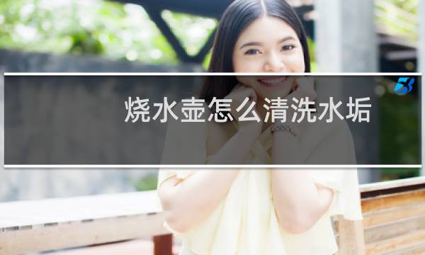 烧水壶怎么清洗水垢 - 热水壶有水垢怎么办