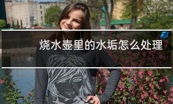 烧水壶里的水垢怎么处理 - 如何清洗烧水壶里的白色水垢