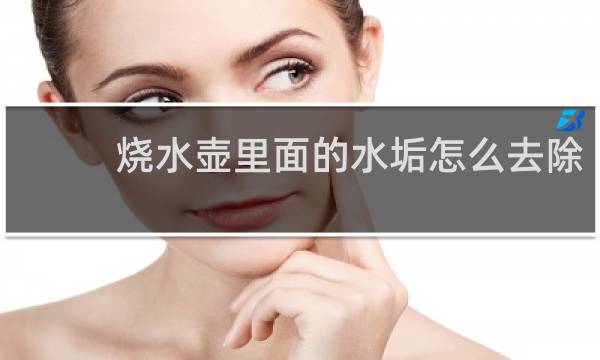 烧水壶里面的水垢怎么去除 - 烧水壶里面的水垢是什么物质