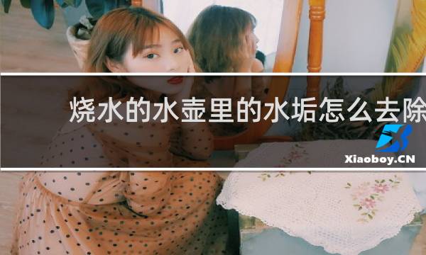 烧水的水壶里的水垢怎么去除 - 怎样快速去除烧水壶里的水垢