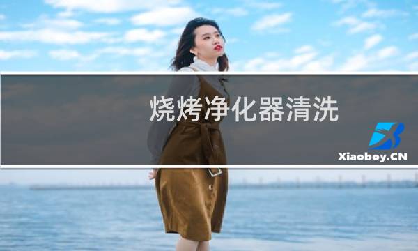 烧烤净化器清洗 - 济南清洗烧烤净化器