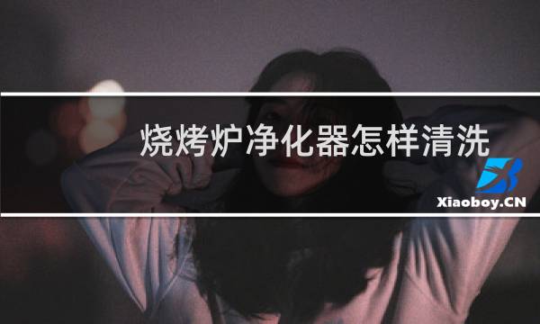 烧烤炉净化器怎样清洗 - 烧烤炉净化器吸风口清洗