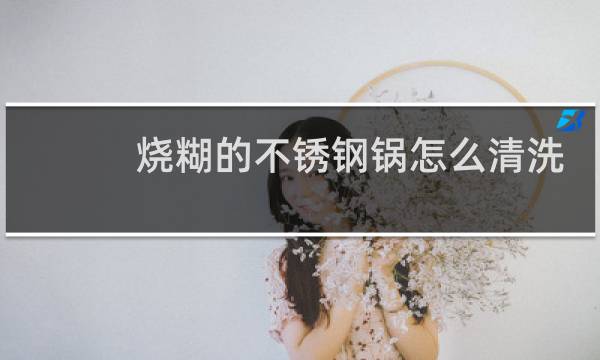 烧糊的不锈钢锅怎么清洗 - 不锈钢锅烧糊了怎样洗干净