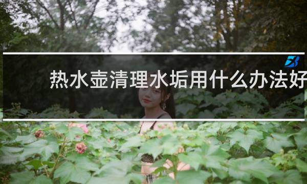 热水壶清理水垢用什么办法好 - 怎么清洗热水壶里面的水垢?