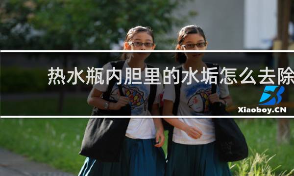 热水瓶内胆里的水垢怎么去除 - 暖水瓶里的水垢怎么清理