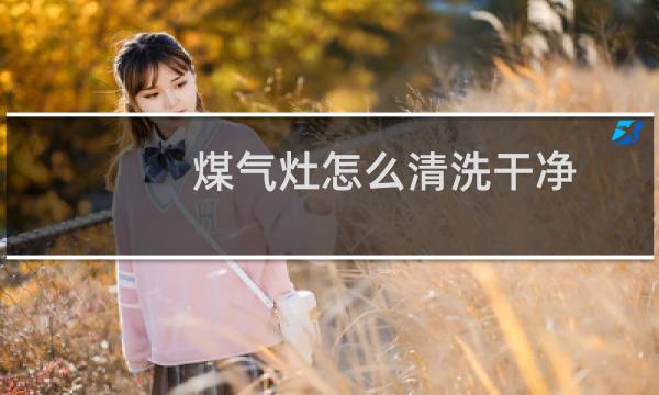煤气灶怎么清洗干净 - 怎样清洗煤气灶上油污和铁锈