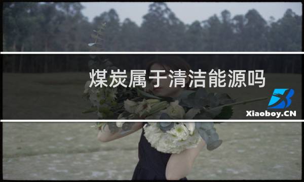 煤炭属于清洁能源吗 - 国家禁止烧煤是全面吗