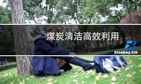 煤炭清洁高效利用 - 煤炭清洁高效利用的意义
