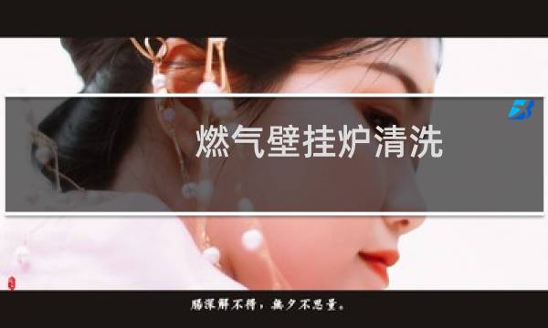 燃气壁挂炉清洗 - 燃气壁挂炉可以自己清理吗