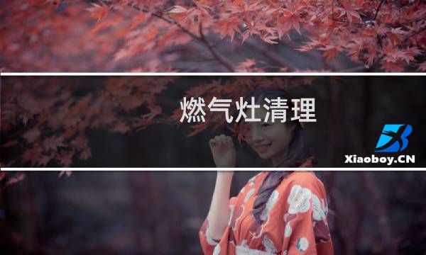 燃气灶清理 - 燃气灶火盖和火孔怎么清理