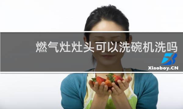 燃气灶灶头可以洗碗机洗吗 - 燃气灶架子可以放洗碗机