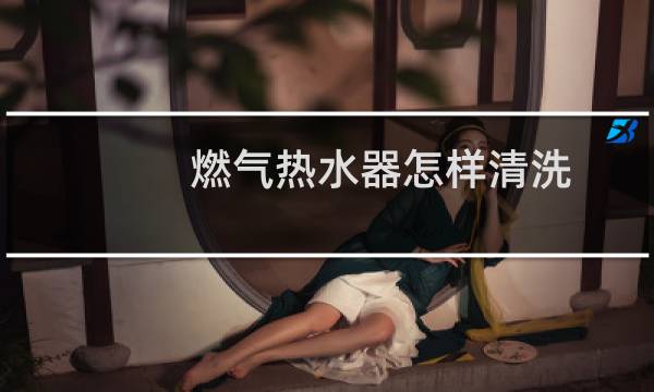 燃气热水器怎样清洗 - 燃气热水器自己能清洗