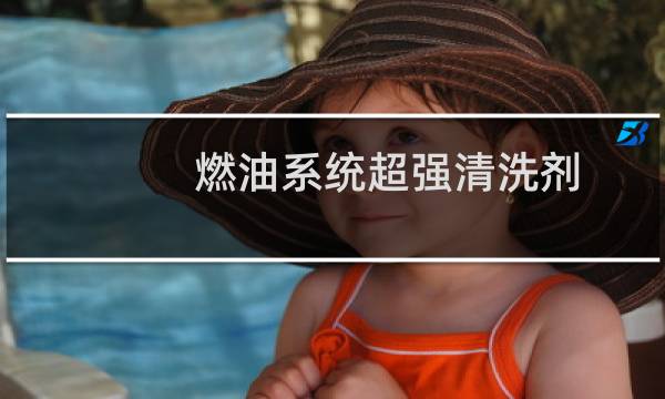 燃油系统超强清洗剂 - 丰田燃油系统超强清洗剂