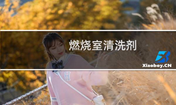 燃烧室清洗剂 - 发动机燃烧室清洗剂