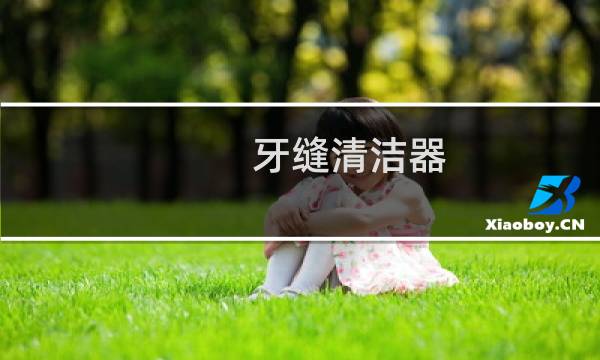 牙缝清洁器 - 牙缝清洁器怎么用
