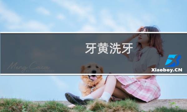 牙黄洗牙 - 牙齿里面黄可以不洗牙吗