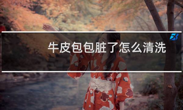 牛皮包包脏了怎么清洗 - 白色皮包脏了怎么清洗