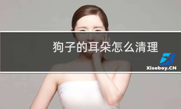 狗子的耳朵怎么清理 - 狗狗两耳耳部内侧涂擦是哪里