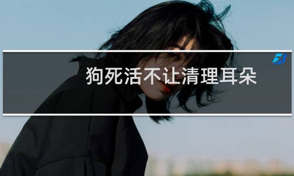 狗死活不让清理耳朵 - 狗狗不让清理耳朵还咬人