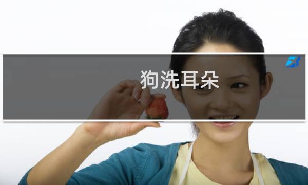 狗洗耳朵 - 给狗洗耳朵要注意什么