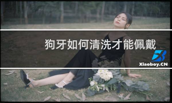 狗牙如何清洗才能佩戴 - 佩戴的狗牙怎么能洗白