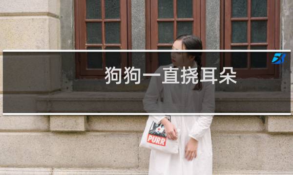 狗狗一直挠耳朵 - 狗耳朵很干净还是挠