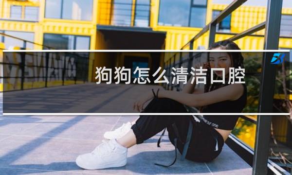 狗狗怎么清洁口腔 - 狗狗口腔清洁