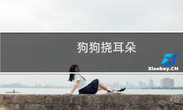 狗狗挠耳朵 - 狗耳朵很干净还是挠