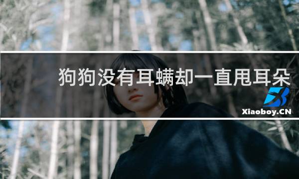 狗狗没有耳螨却一直甩耳朵 - 狗狗老甩头但耳道很干净