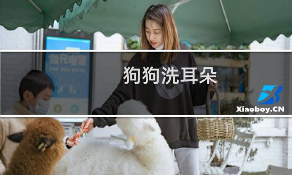 狗狗洗耳朵 - 怎么洗狗狗耳朵