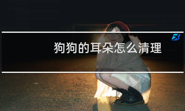 狗狗的耳朵怎么清理 - 狗狗洗耳朵的正确方法