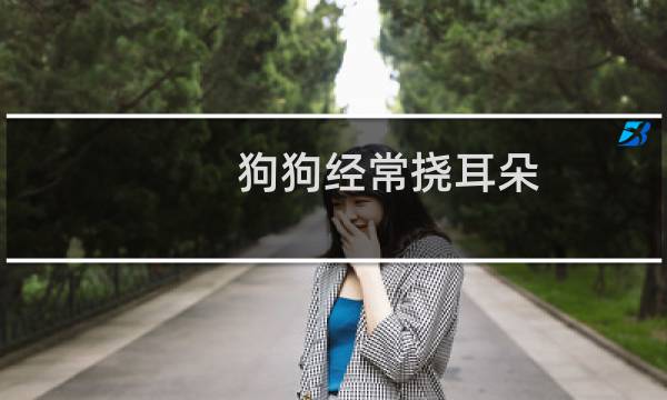 狗狗经常挠耳朵 - 狗狗一天挠几次耳朵正常