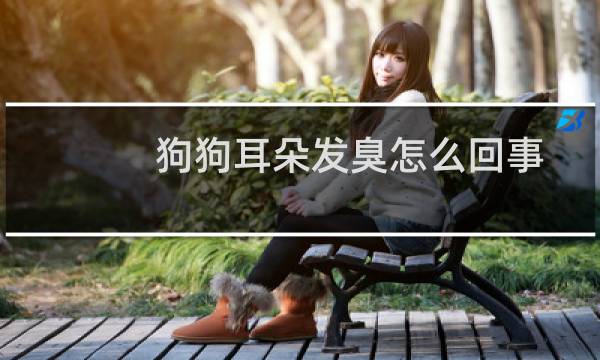 狗狗耳朵发臭怎么回事 - 狗狗耳朵臭正常吗