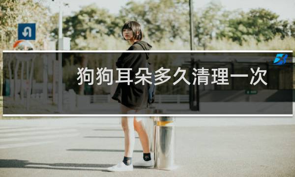 狗狗耳朵多久清理一次 - 立耳犬多久洗一次耳朵