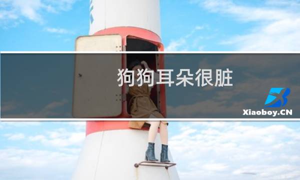 狗狗耳朵很脏 - 狗狗耳朵很容易脏